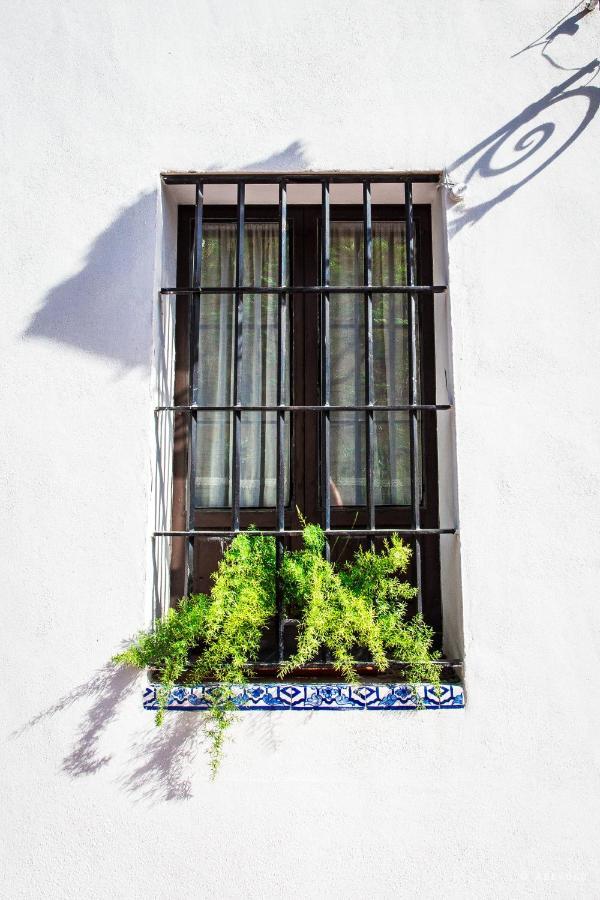 Casa Del Siglo XVII Villa Sevilla Exterior foto